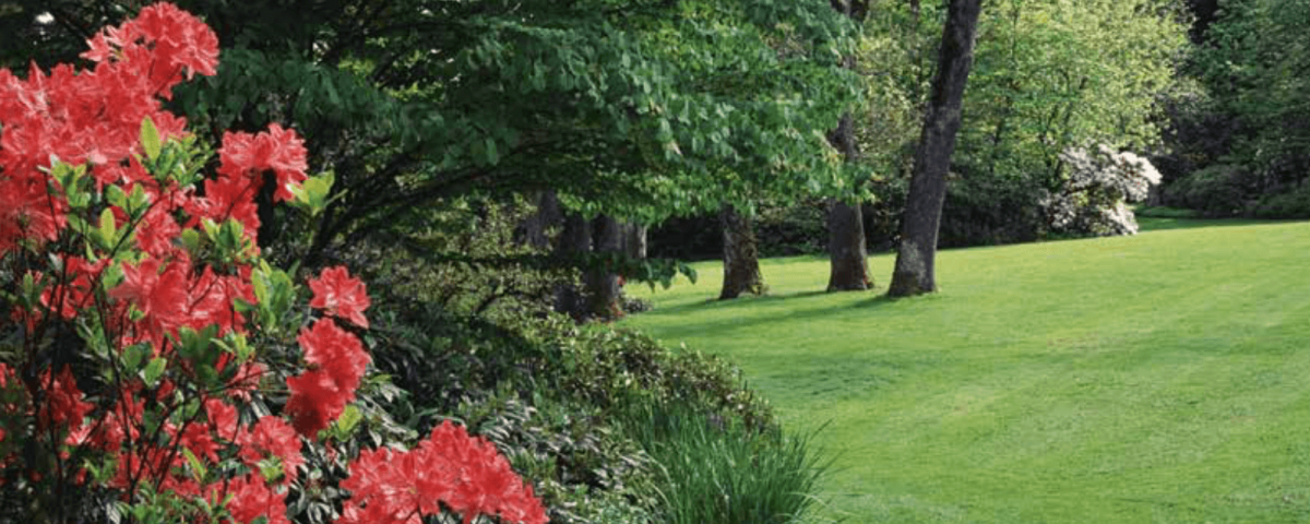 Lawn Care Benefits From ProLawnPlus Baltimore s Best Lawn Care Service